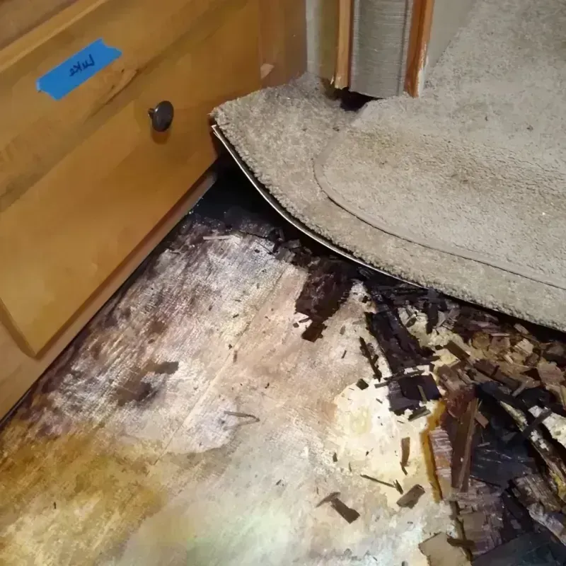 Best Wood Floor Water Damage Service in Kenyon, MN